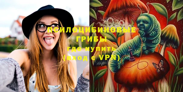 твердый Медвежьегорск